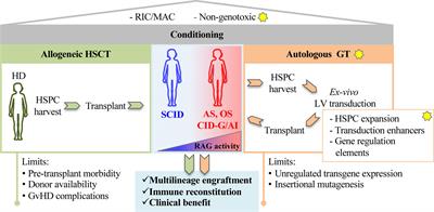 Innovative Cell-Based Therapies and Conditioning to Cure RAG Deficiency